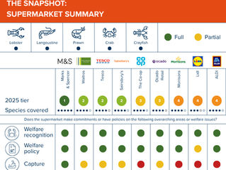 Add welfare to your shopping list with our new Supermarket Scorecards