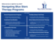 Navigating BST Services (1).png