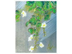 2013 Doctor's Office