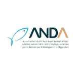 ANDA