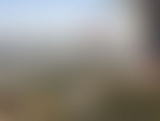 C'est Noël, c'est l'été : pourquoi les incendies sont-ils une menace ?