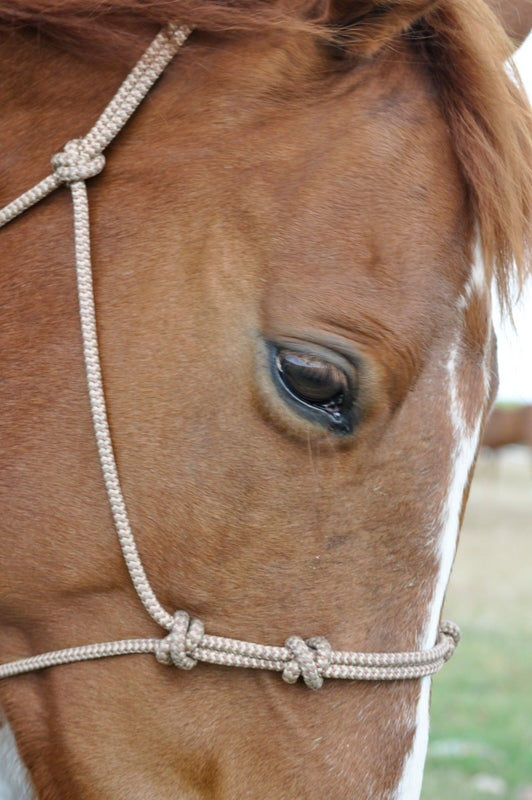 ROPE HALTER 4 KNOT NOSEBAND