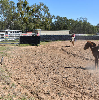 Cowgirls Retreat Equine Connection