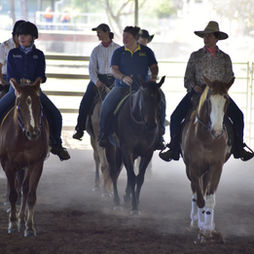 Horsemanship Equine Connection
