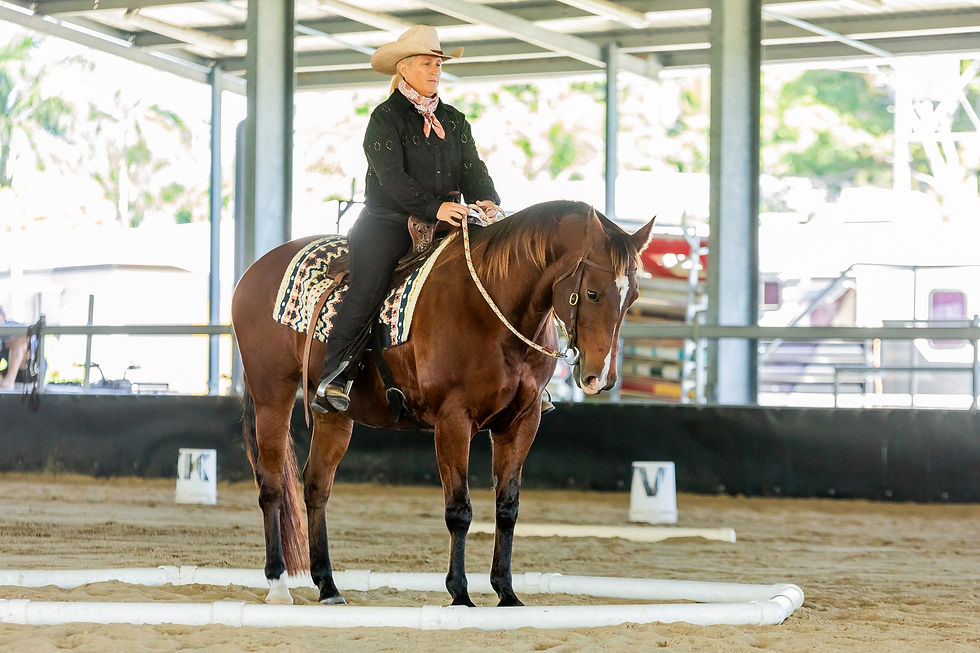 COWBOY DRESSAGE FOR BEGINNERS