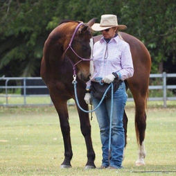 Horsemanship Equine Connection
