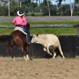 Horsemanship Equine Connection