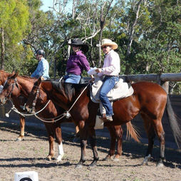Horsemanship Equine Connection