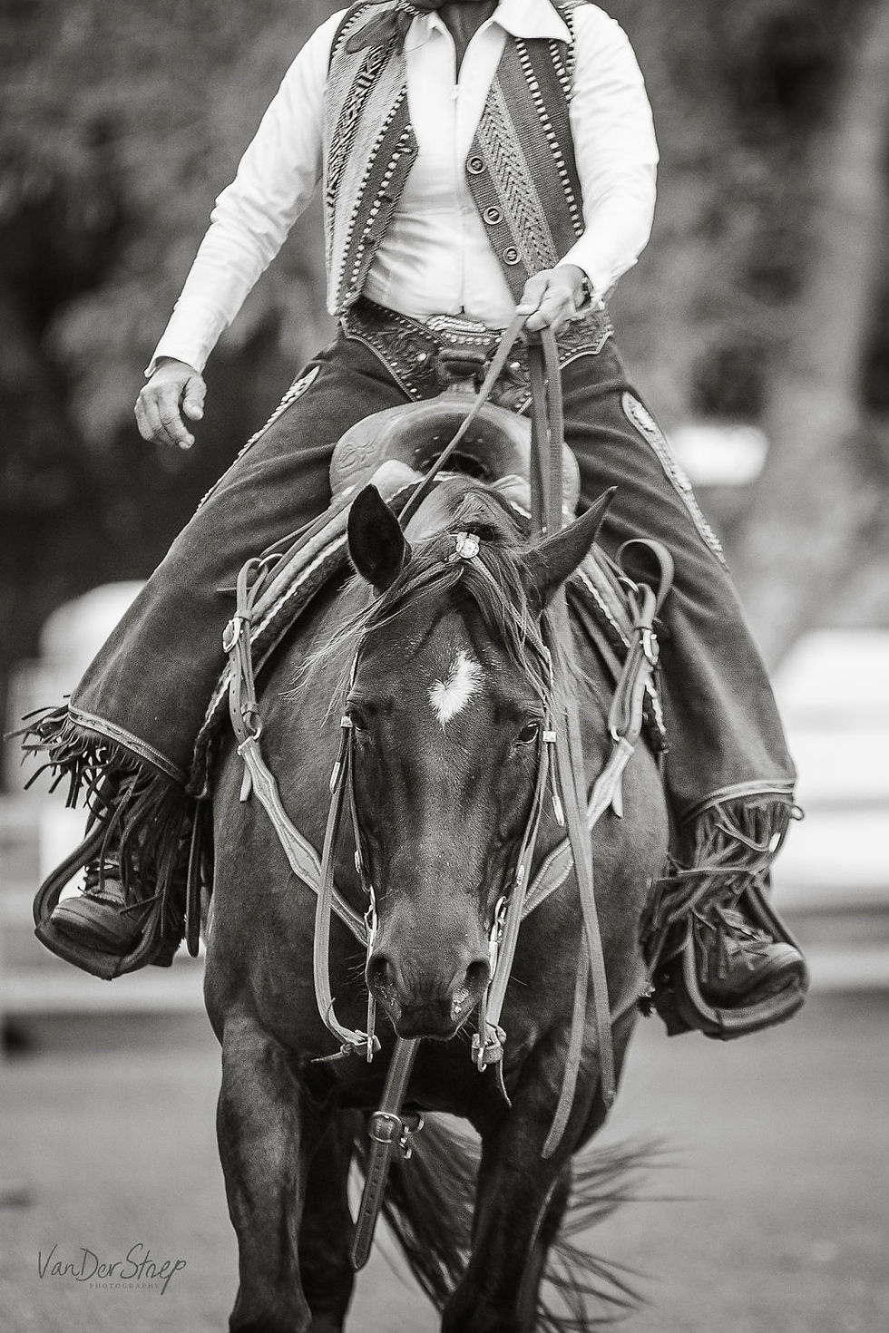 Cowboy Dressage Training Clinic Mackay