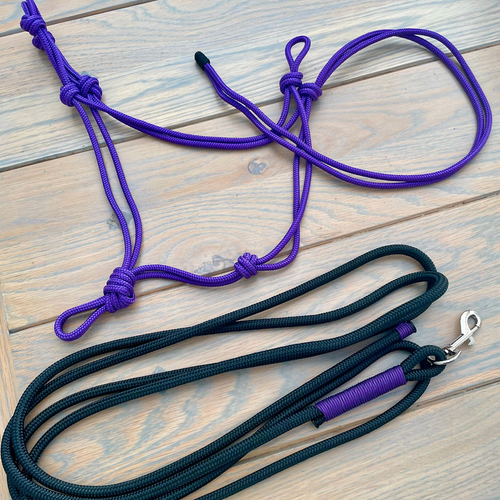 Thumbnail: The Tack Studio's Training Set in Purple and Black 