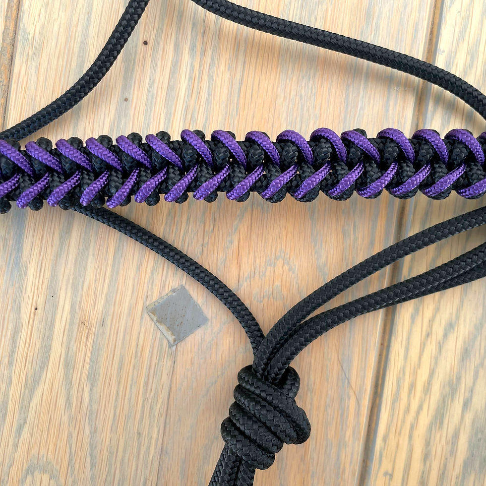 Thumbnail: The Tack Studio's Halter with Fishtail Noseband in Purple and Black showcasing Fishtail Noseband