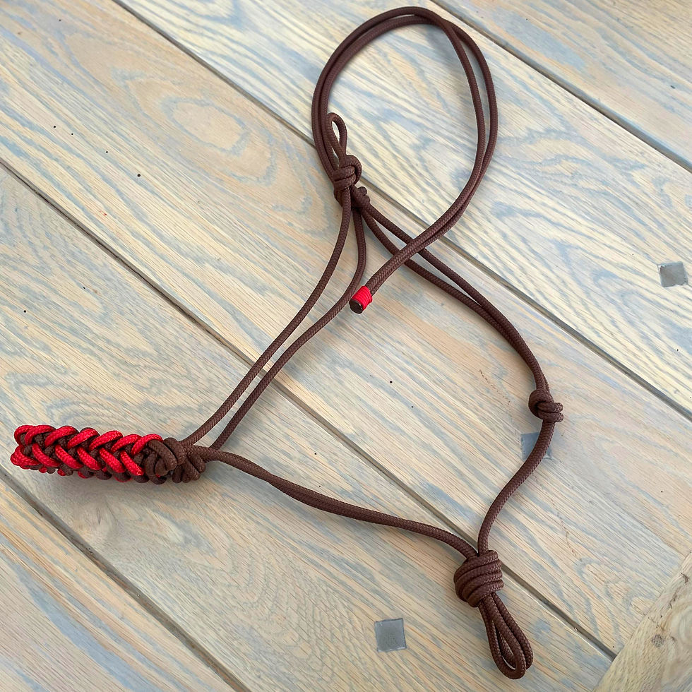 Thumbnail: The Tack Studio's Halter with Fishtail Noseband in Red and Brown 