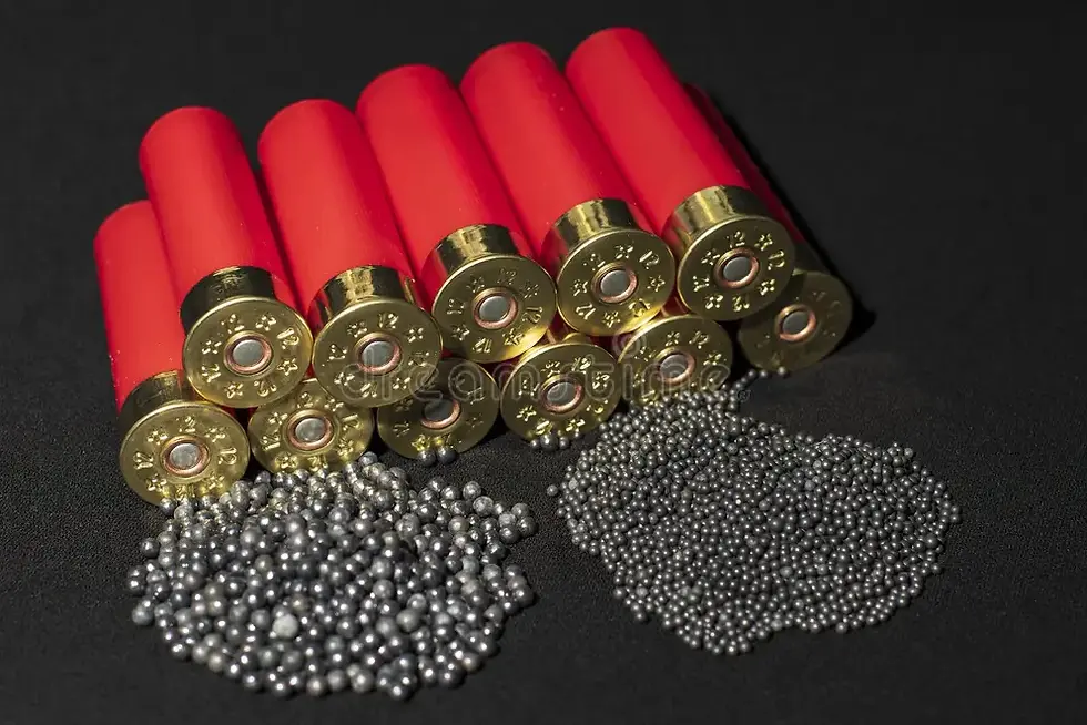 shotshell.webp