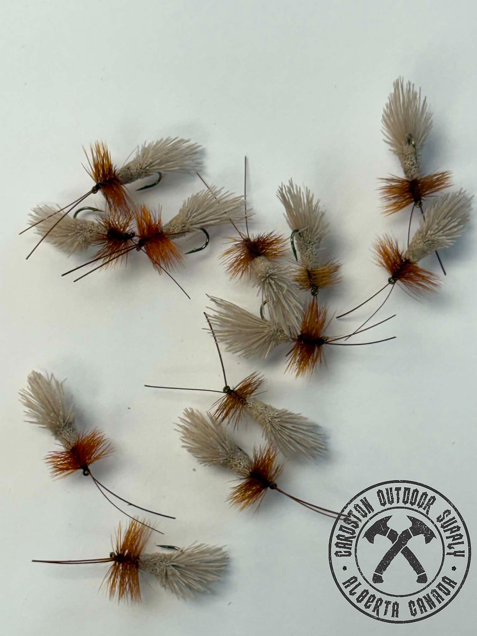 Thumbnail: Goddard Caddis
