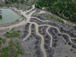 Demonstrating and upscaling Ecological Mangrove Restoration in North Kalimantan, Indonesia