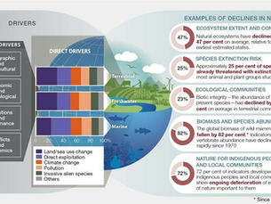 IPBES Report shows Land-use Change a Top Threat to Biodiversity