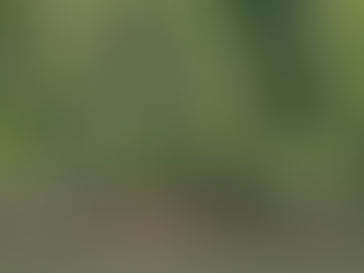 Fishers in Resex Soure, Pará, Brazil. July 2024.