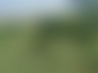 New Technologies and Participative Strategies for Small Mangrove Patches