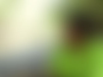 An Innovative Community-led Governance Model for Mangroves