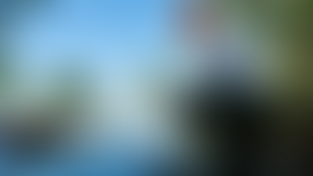 Why the Next Era of Mangrove Restoration Must Be Led Locally