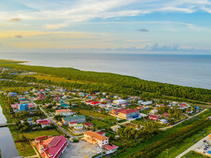 Mangrove Conservation for Ocean Action