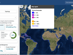 Mangrove Restoration Potential Map