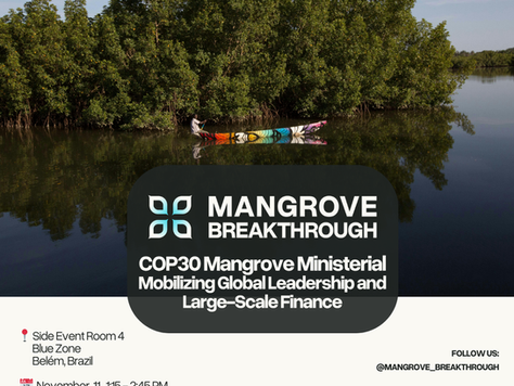 Global Mangrove Alliance at COP30