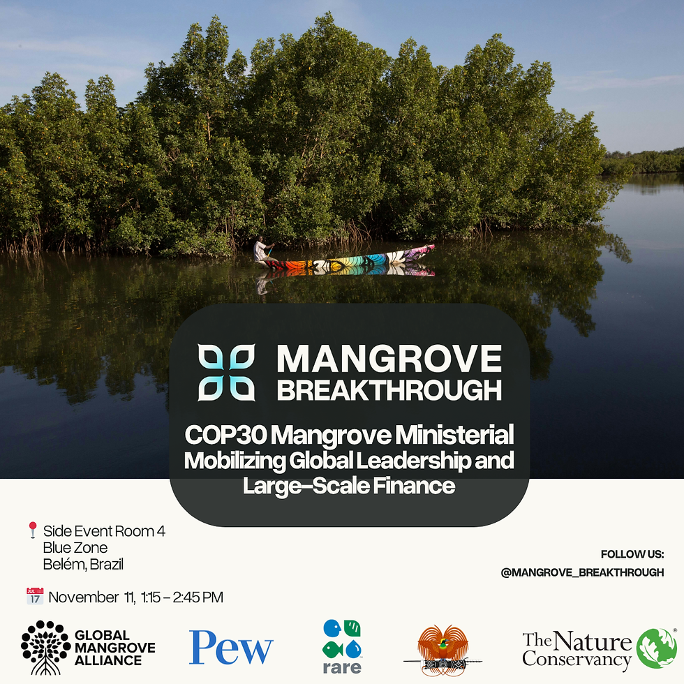 Global Mangrove Alliance at COP30