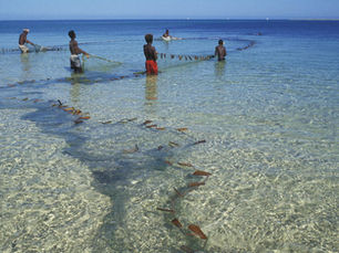 Ankazomborona Rangers Enforce Mangrove Fishing Regulations