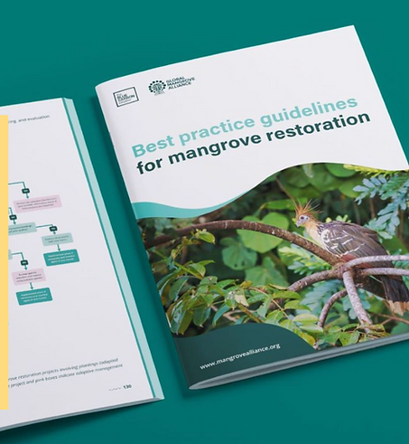 Screenshot 2025-03-06 at 5.18.56 PM.png