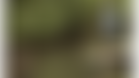 World Wetlands Day 2026