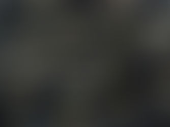 Taking Action to Save Mangroves