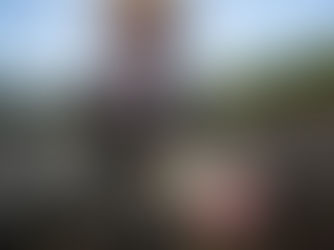 Mangroves for the Future