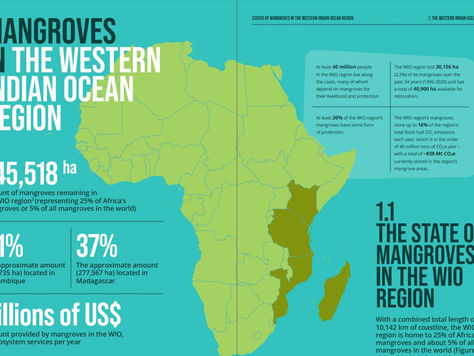 The State of Mangroves in the Western Indian Ocean Report