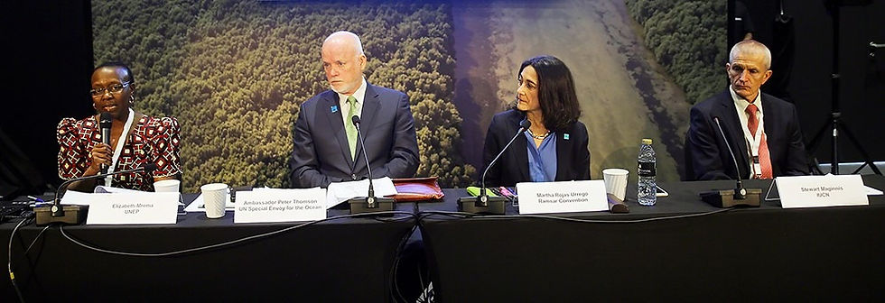 Left to right: Elizabeth Mrema, UNEP; Peter Thomson, UN Special Envoy for the Ocean; Martha Rojas Urrego, Ramsar Secretary General; and Stewart Maginnis, Global Director IUCN. Photo by IISD/ENB | Francis Dejon