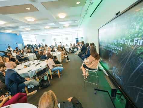 Breaking Silos for Mangrove Action at New York Climate Week