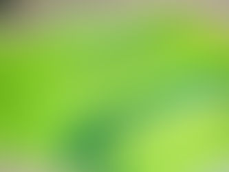 First Report on Mangrove Conservation in China