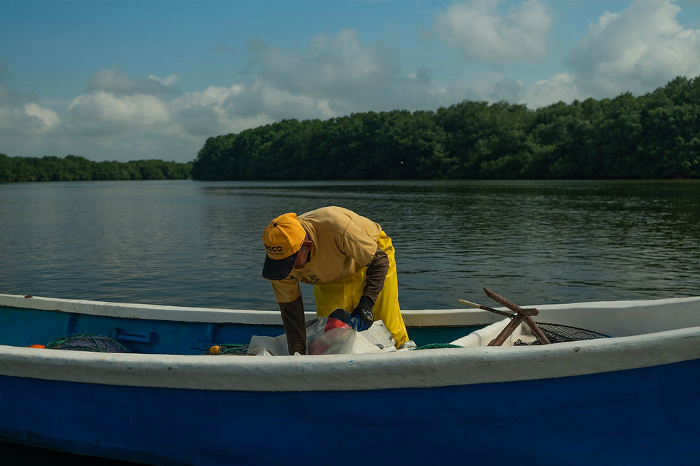“We see the community motivated to conserve and protect the mangrove. We know that the information and guidance we provide changes lives and contributes to decisive actions to restore ecosystems that have been degraded for years,” says Geovanny as he walks toward the boat that will take him back to continue his work in other communities and provinces of Ecuador.
