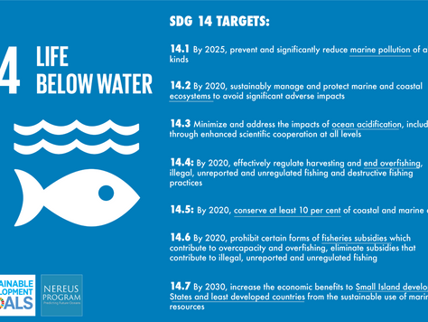 Organizations Update Mangrove Commitments for Sustainable Development Goals