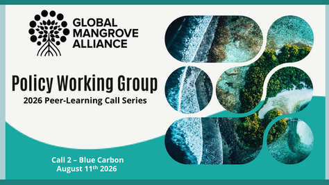 Exchanges on Blue Carbon