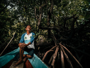 World Mangrove Day 2025