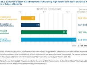 How Do Mangroves Fit into Ocean Solutions?