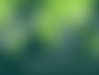 Engaging Local Ecological Knowledge to Inform Mangrove Restoration and Conservation