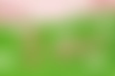 2 ans de Ma petite Nature