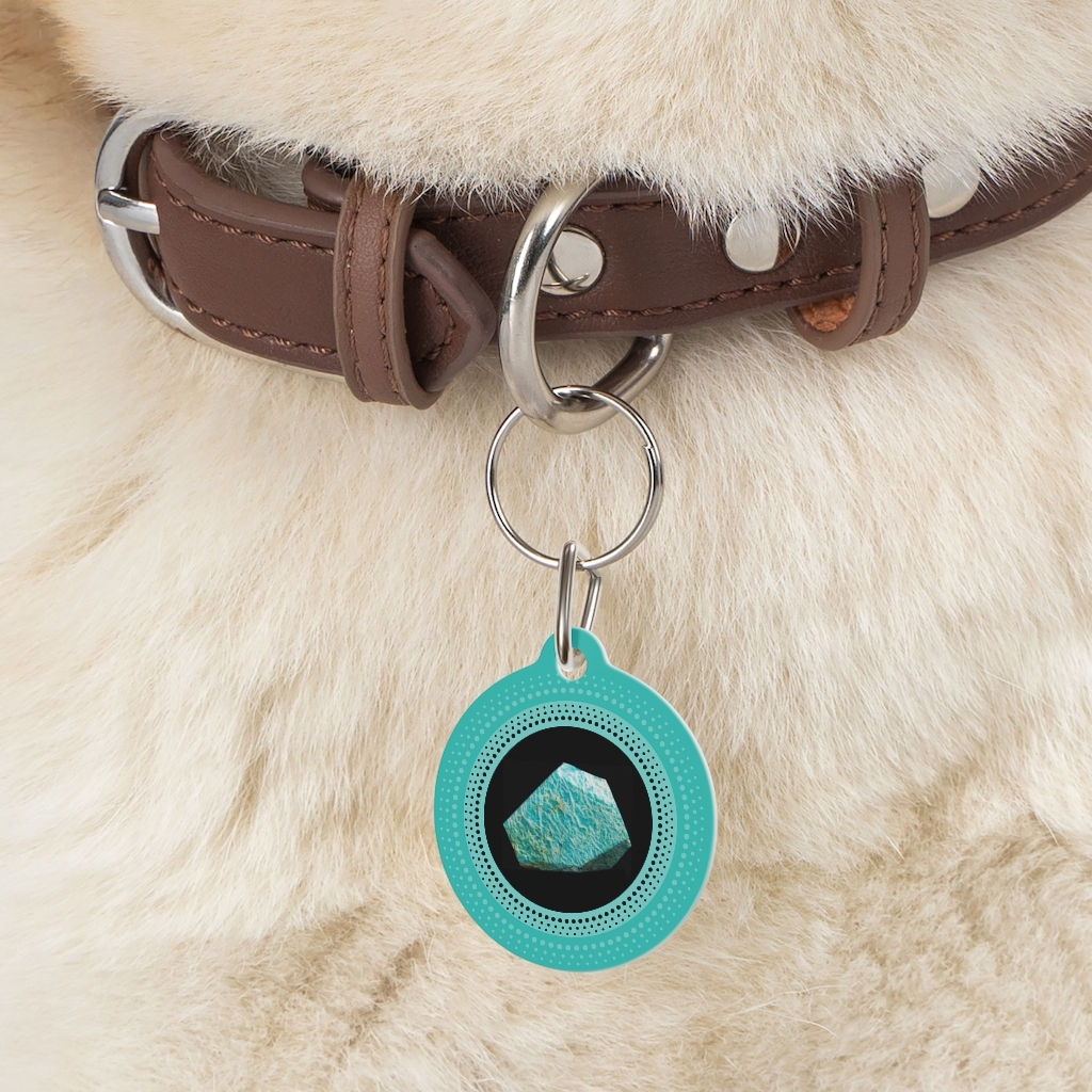 Amazonite Crystal Pet Tag