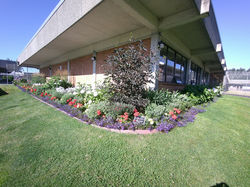 Memorial Garden for Jesse Chavez