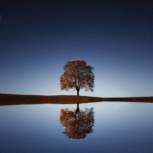 ree