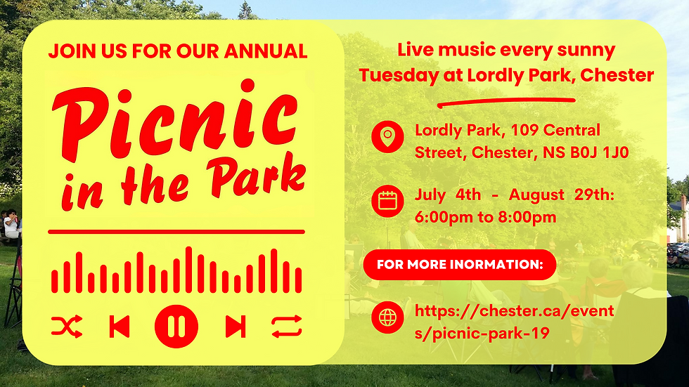 Annual Picnic In The Park Summer Music Festival Banner