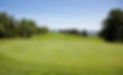 10-Green-Facing-Ocean-2018-224.jpeg