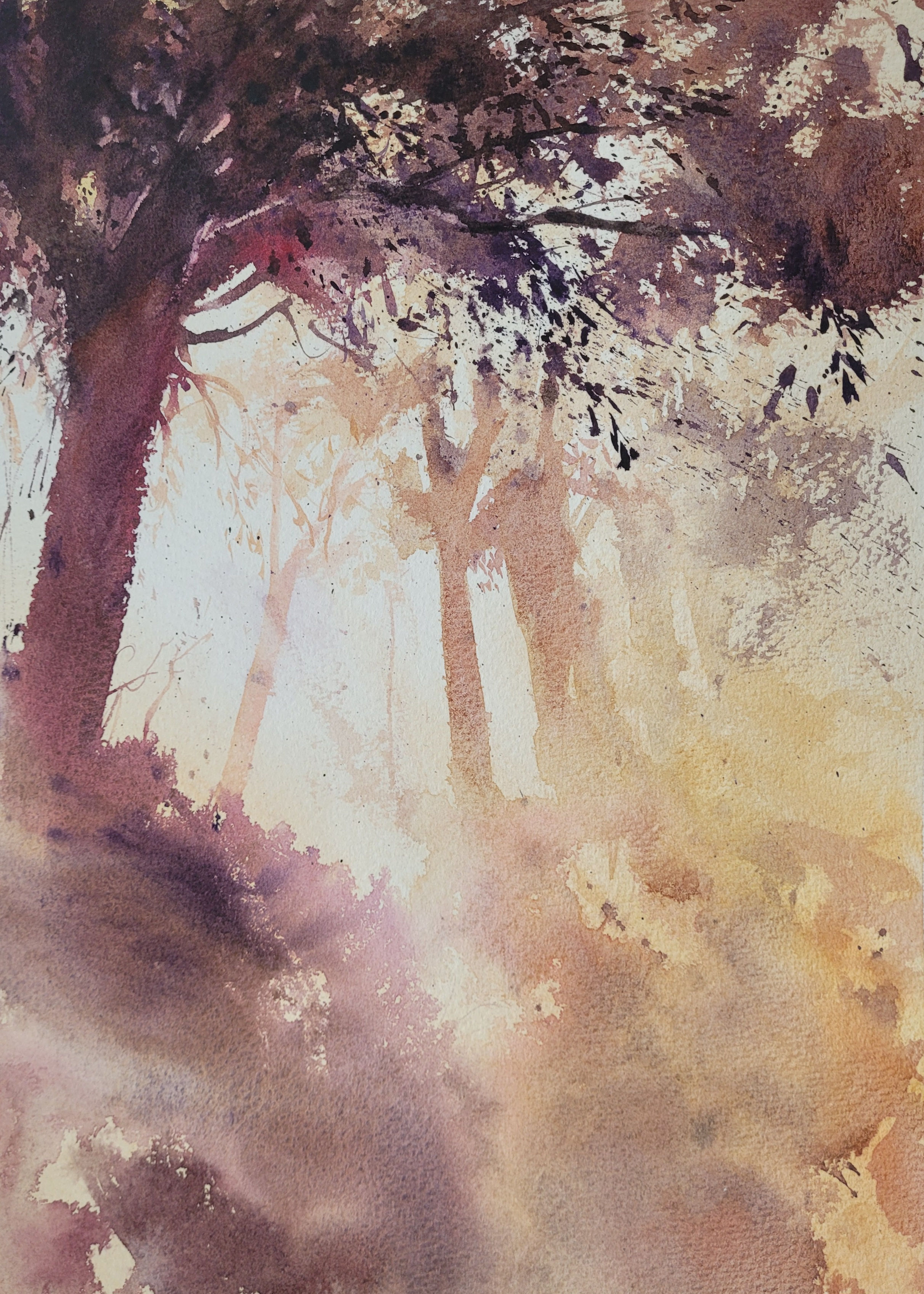 Forest Dreamscape